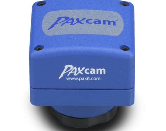 Análisis de imágenes PAX ID, vista 2
