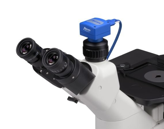 Análisis de imágenes PAX ID, vista 4
